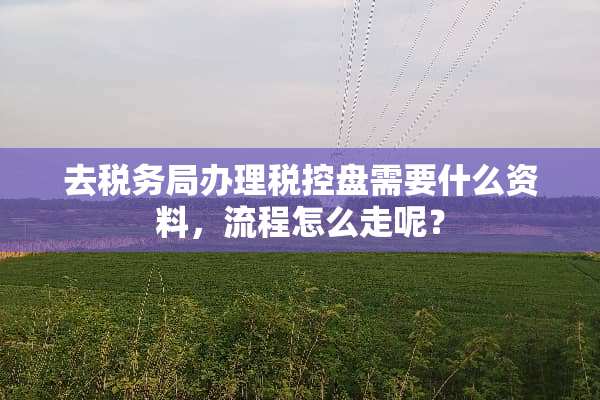 去税务局办理税控盘需要什么资料，流程怎么走呢？