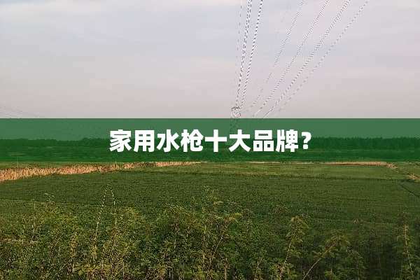 家用水*十大品牌？
