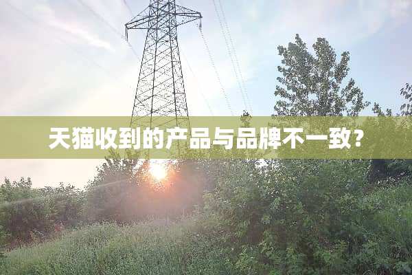 天猫收到的产品与品牌不一致？