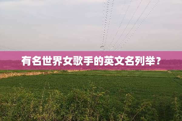 有名世界女歌手的英文名列举？