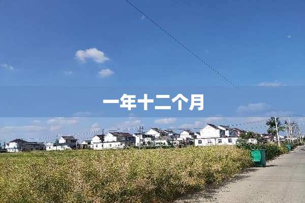 一年十二个月