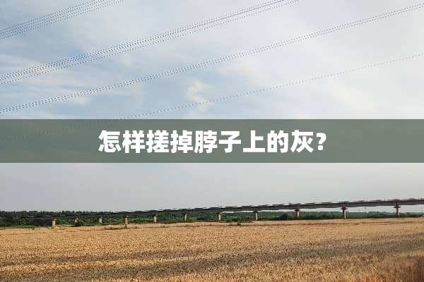 怎样搓掉脖子上的灰？