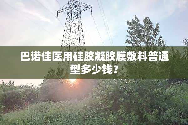 巴诺佳医用硅胶凝胶膜敷料普通型多少钱？