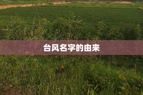 台风名字的由来