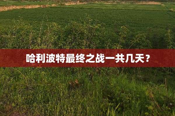 哈利波特最终之战一共几天？