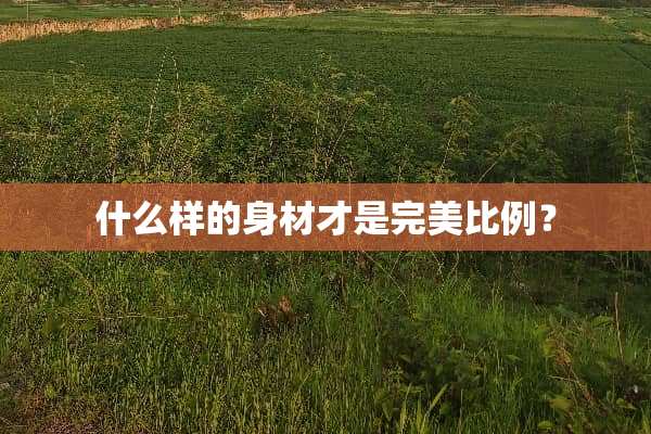 什么样的身材才是完美比例？
