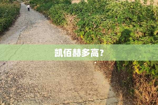 凯佰赫多高？