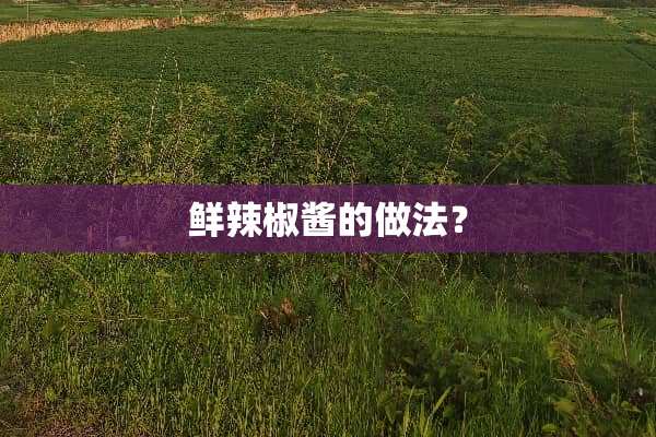 鲜辣椒酱的做法？