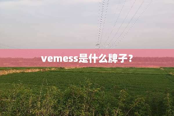 vemess是什么牌子？