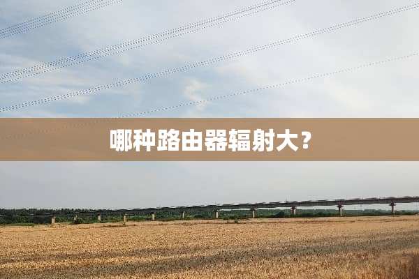 哪种路由器辐射大？