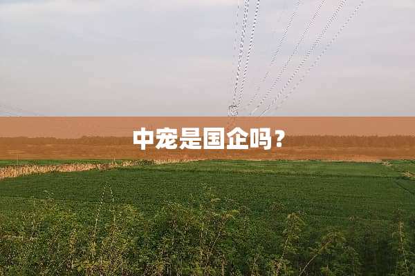 中宠是国企吗？