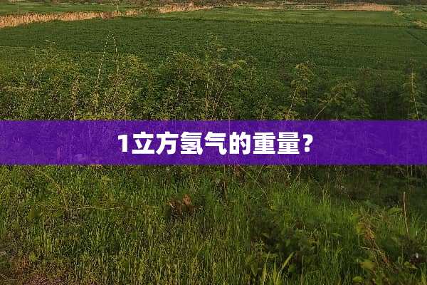 1立方氢气的重量？