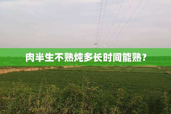 肉半生不熟炖多长时间能熟？
