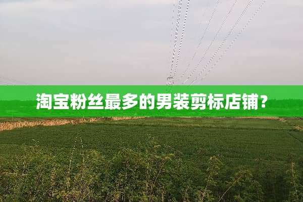 淘宝粉丝最多的男装剪标店铺？
