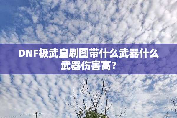 DNF极武皇刷图带什么**什么**伤害高？