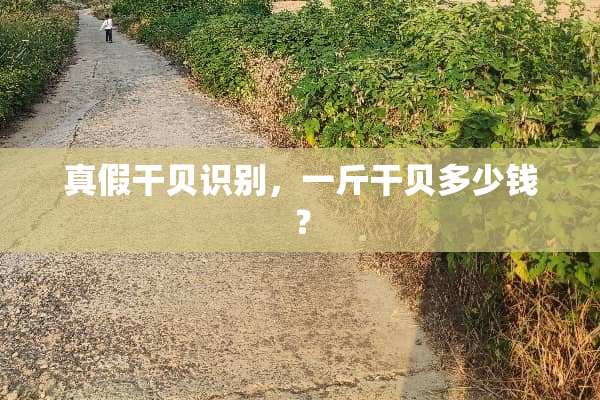 真假干贝识别，一斤干贝多少钱？