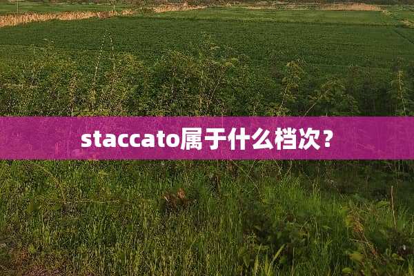 staccato属于什么档次？
