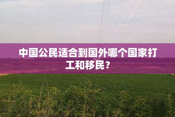 中国公民适合到国外哪个国家打工和移民？
