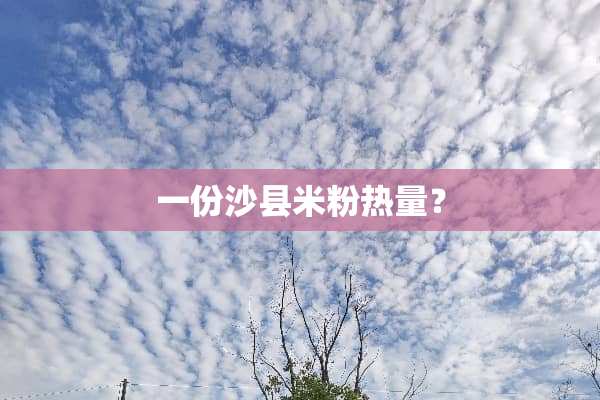 一份沙县米粉热量？