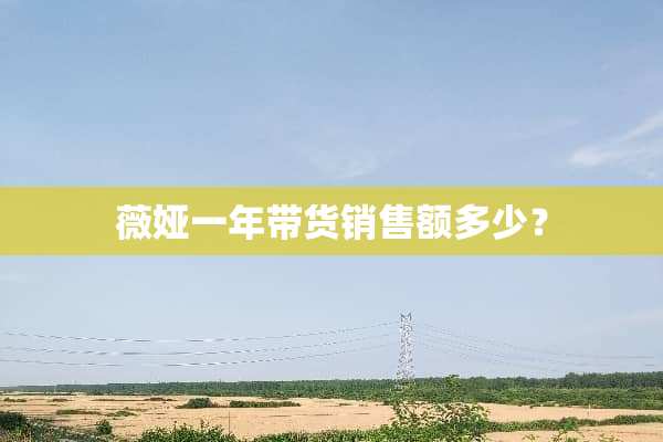 薇娅一年带货销售额多少？