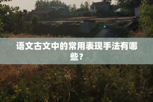 语文古文中的常用表现手法有哪些？