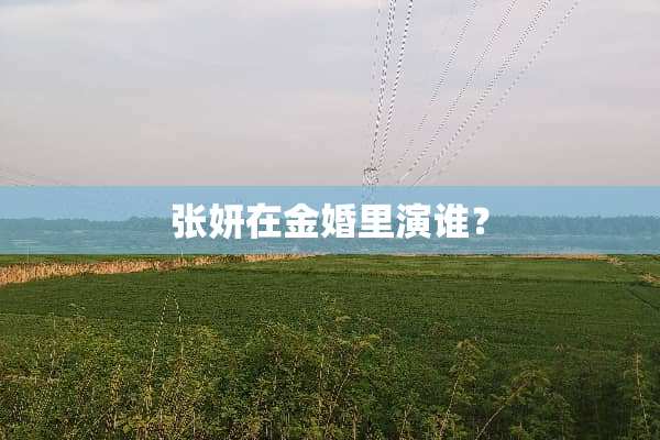 张妍在金婚里演谁？