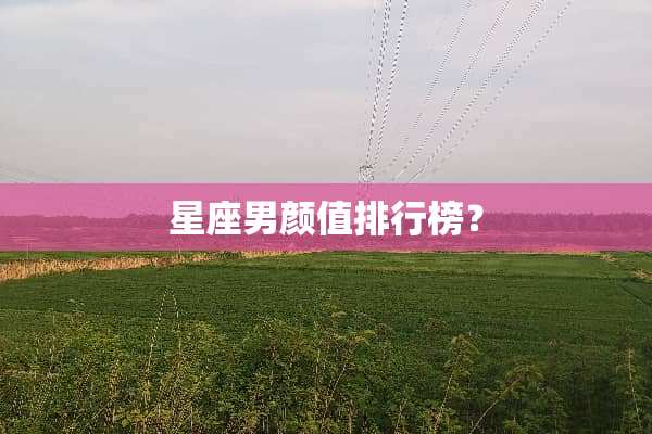 星座男颜值排行榜？