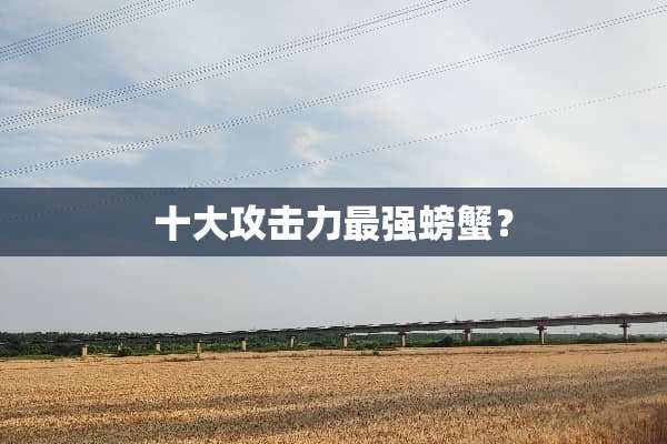 十大攻击力最强螃蟹？