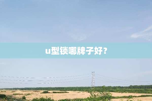 u型锁哪牌子好？