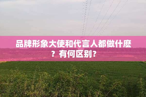 品牌形象大使和代言人都做什麽？有何区别？
