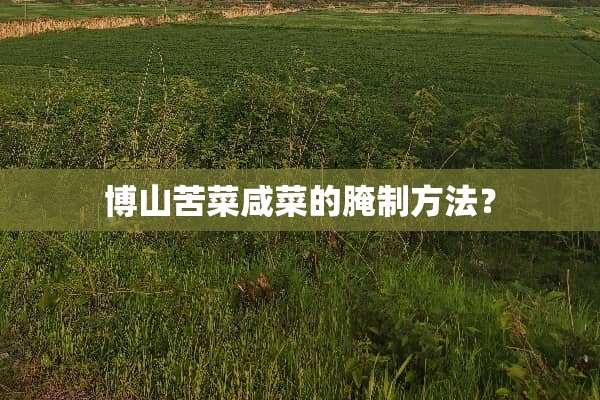 博山苦菜咸菜的腌制方法？