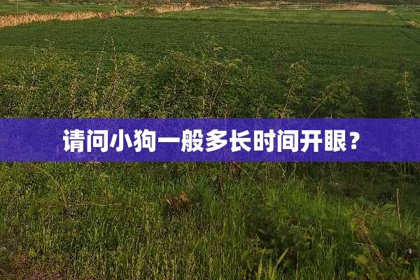 请问小狗一般多长时间开眼？