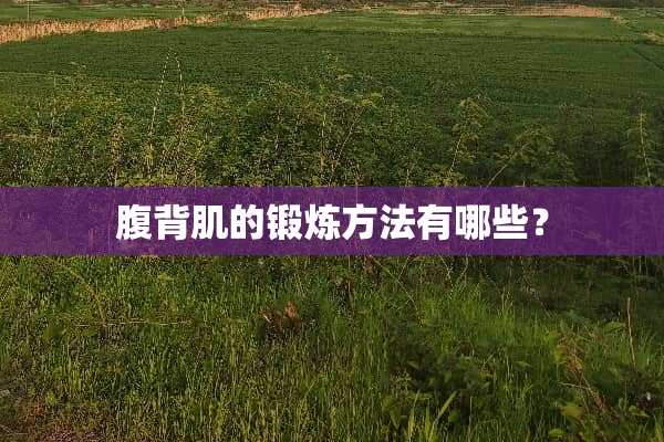 腹背肌的锻炼方法有哪些？