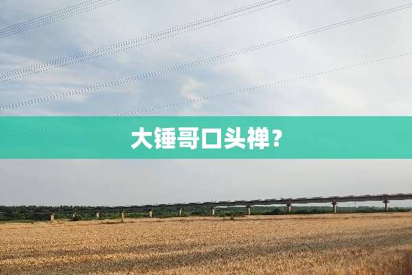 大锤哥口头禅？