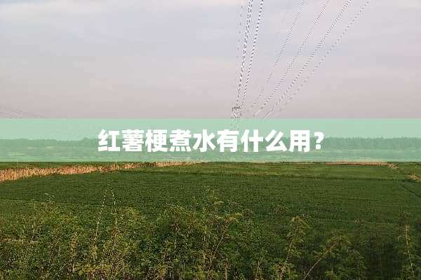 红薯梗煮水有什么用？