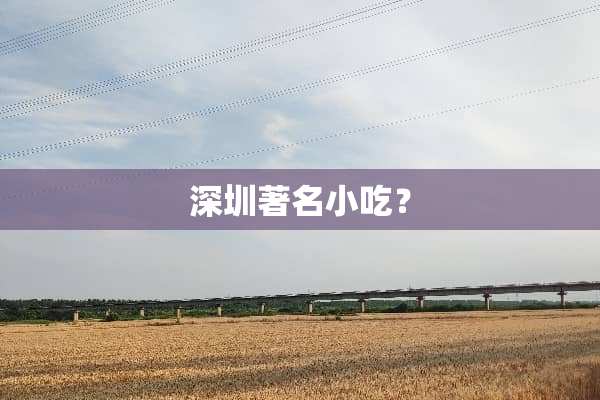 深圳著名小吃？