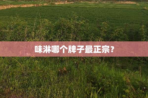 味淋哪个牌子最正宗？
