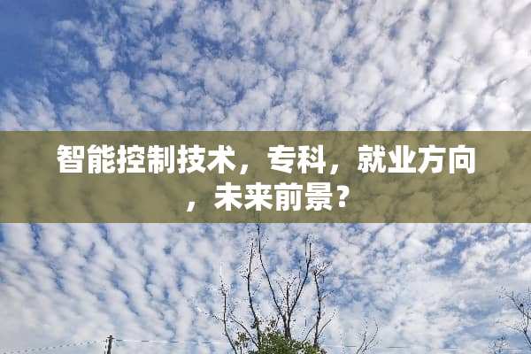 智能控制技术，专科，就业方向，未来前景？