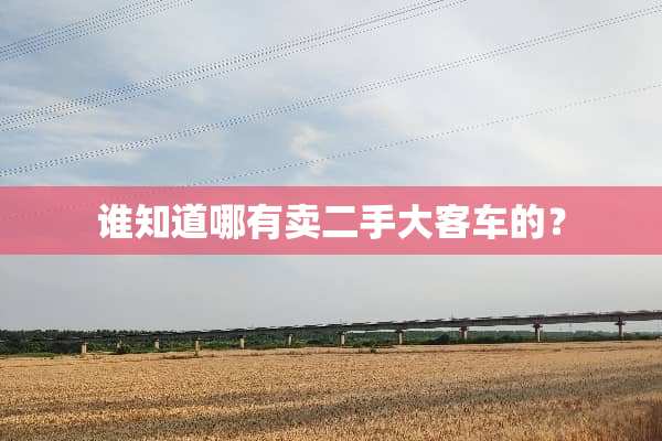 谁知道哪有卖二手大客车的？