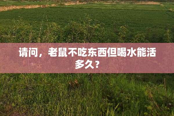 请问，老鼠不吃东西但喝水能活多久？