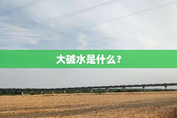 大碱水是什么？