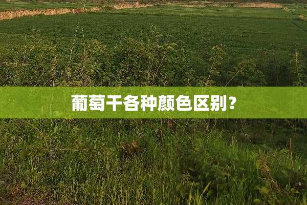 葡萄干各种颜**别？