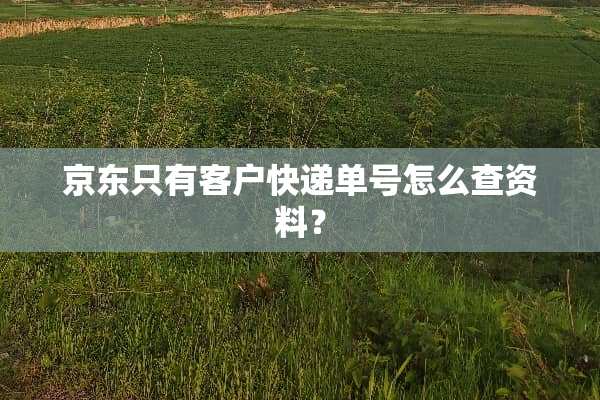 京东只有客户快递单号怎么查资料？