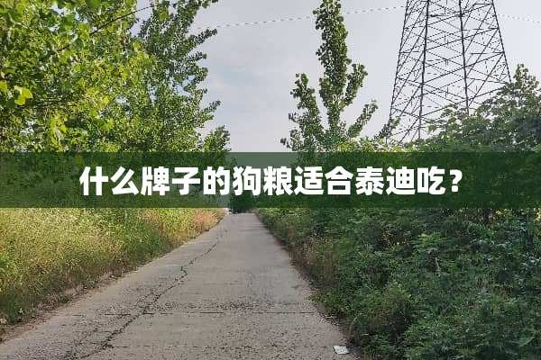 什么牌子的狗粮适合泰迪吃？
