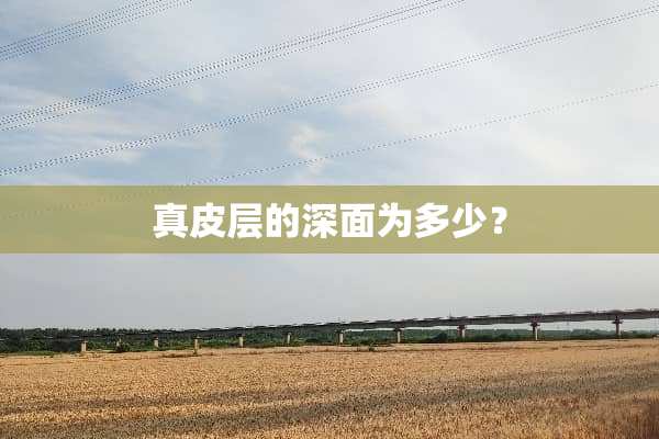 真皮层的深面为多少？