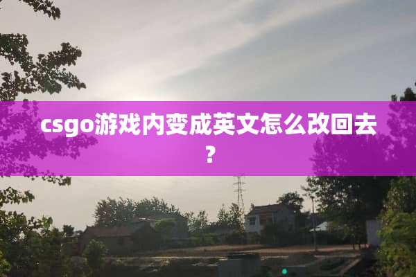 csgo游戏内变成英文怎么改回去？