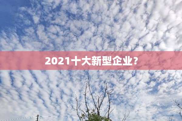 2021十大新型企业？