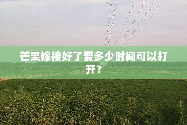 芒果嫁接好了要多少时间可以打开？