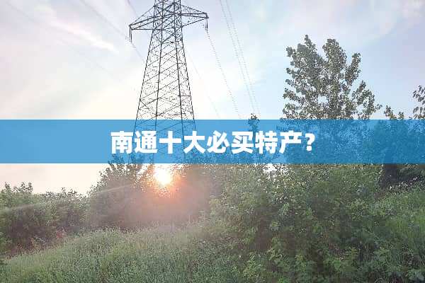 南通十大必买特产？