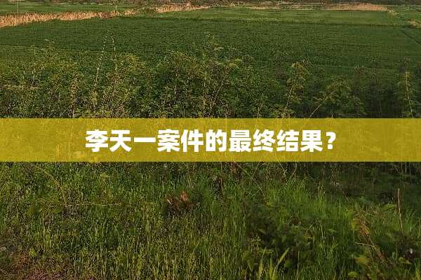 李天一案件的最终结果？